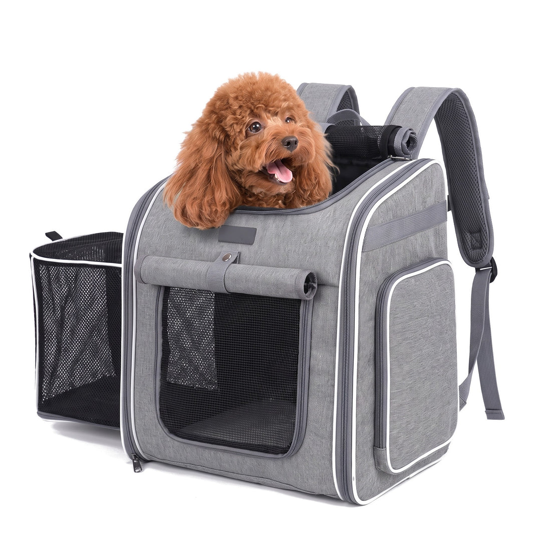 Toy poodle looking out of the grey expandable cat carrier backpack with side window open