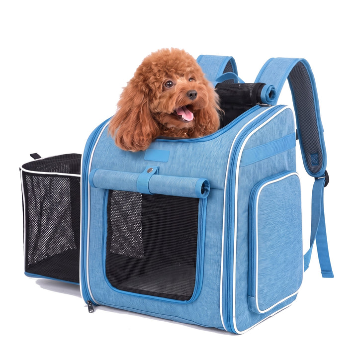Toy poodle looking out of the blue expandable pet carrier backpack