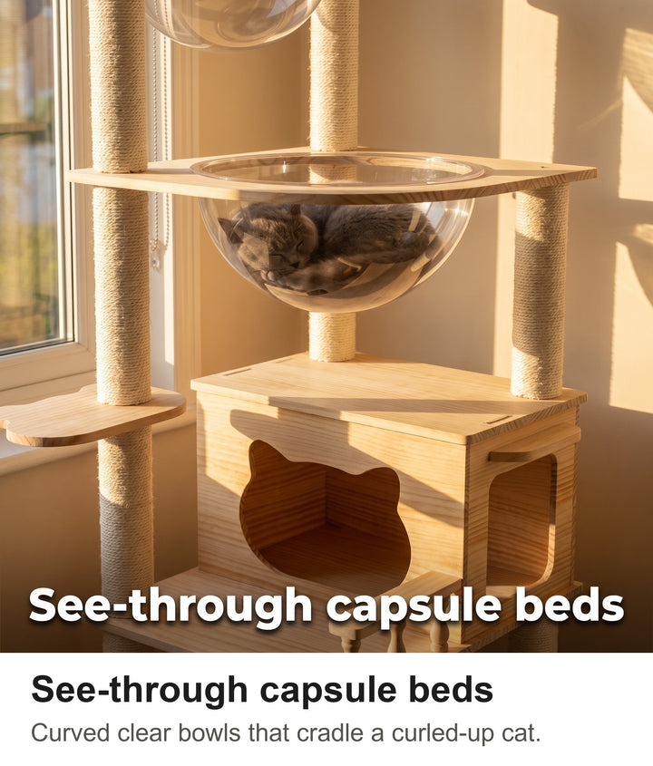 Grey cat asleep in the clear capsule bed of the cat tree