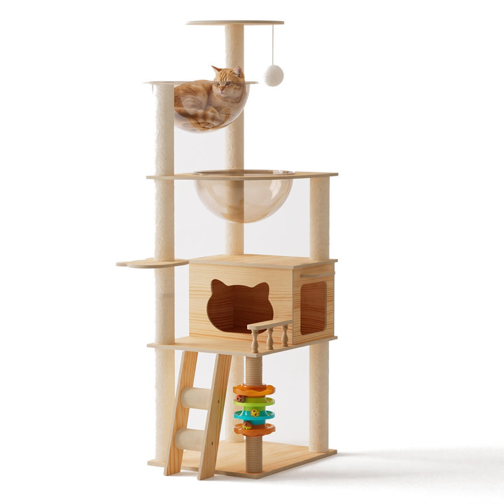 Ginger cat relaxing in the clear capsule bed of the 150 cm cat tree tower