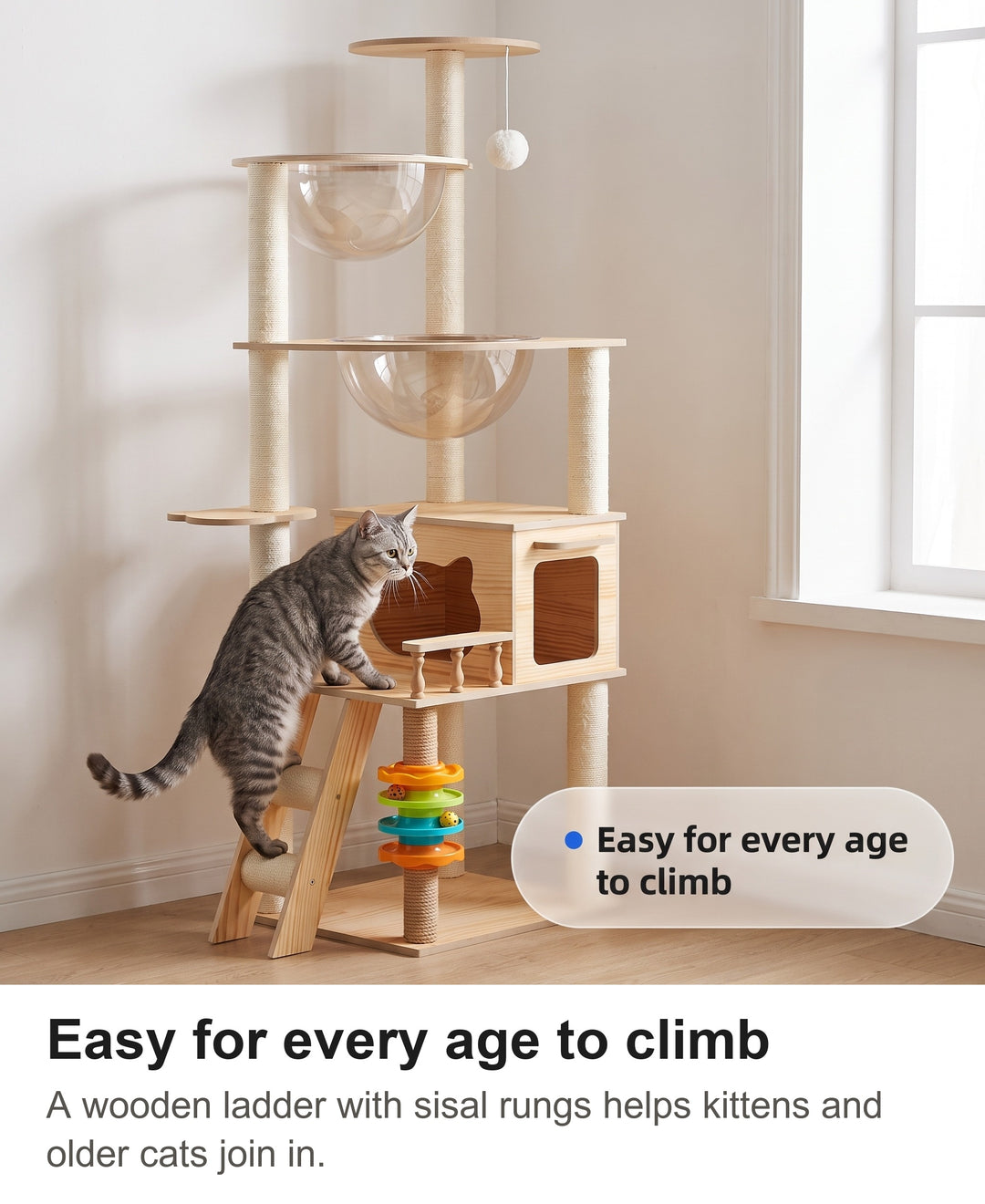 Older tabby cat climbing the sisal-rung ladder of the cat tree