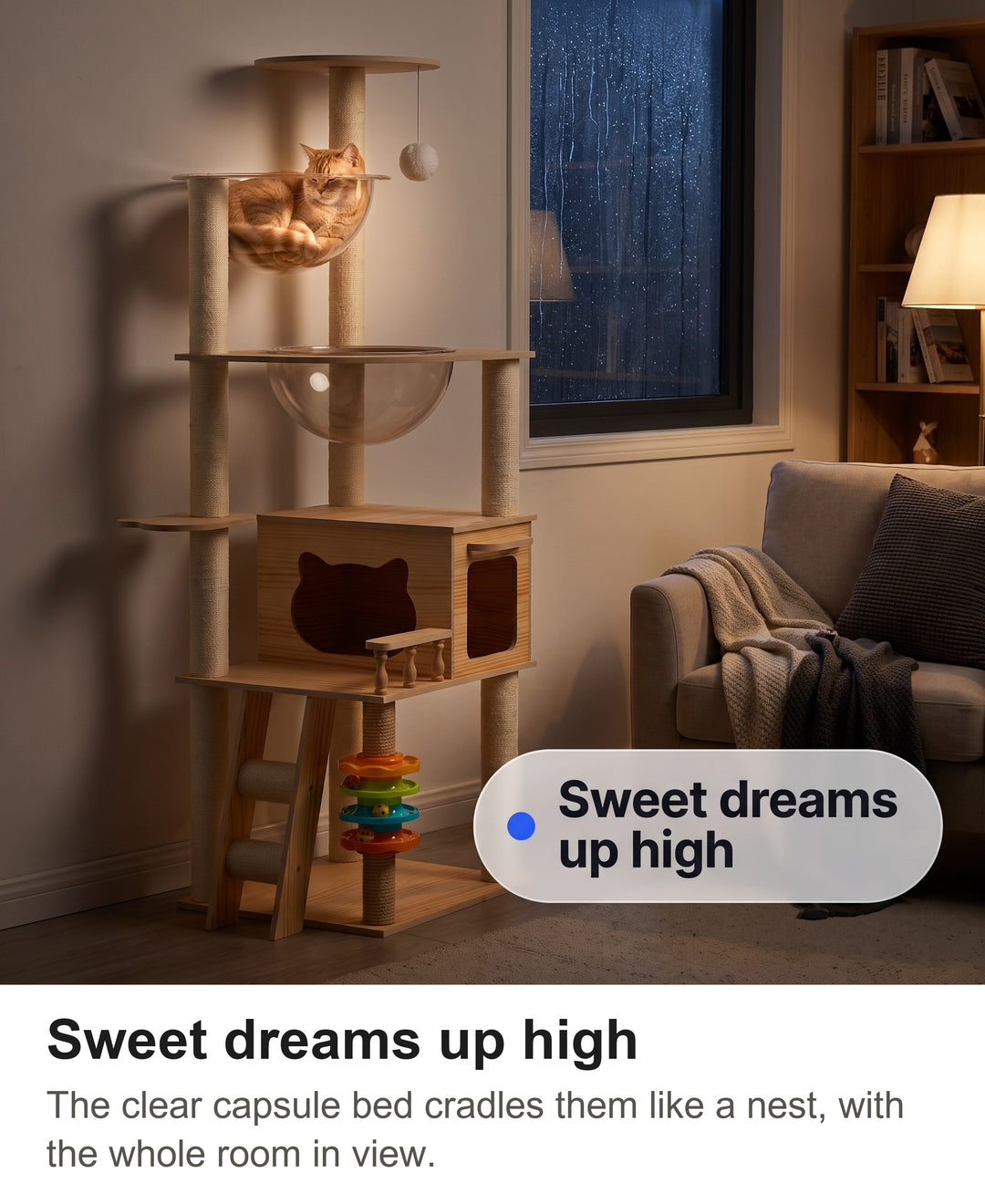 Cat asleep in the clear capsule bed of the cat tree at night by lamp light