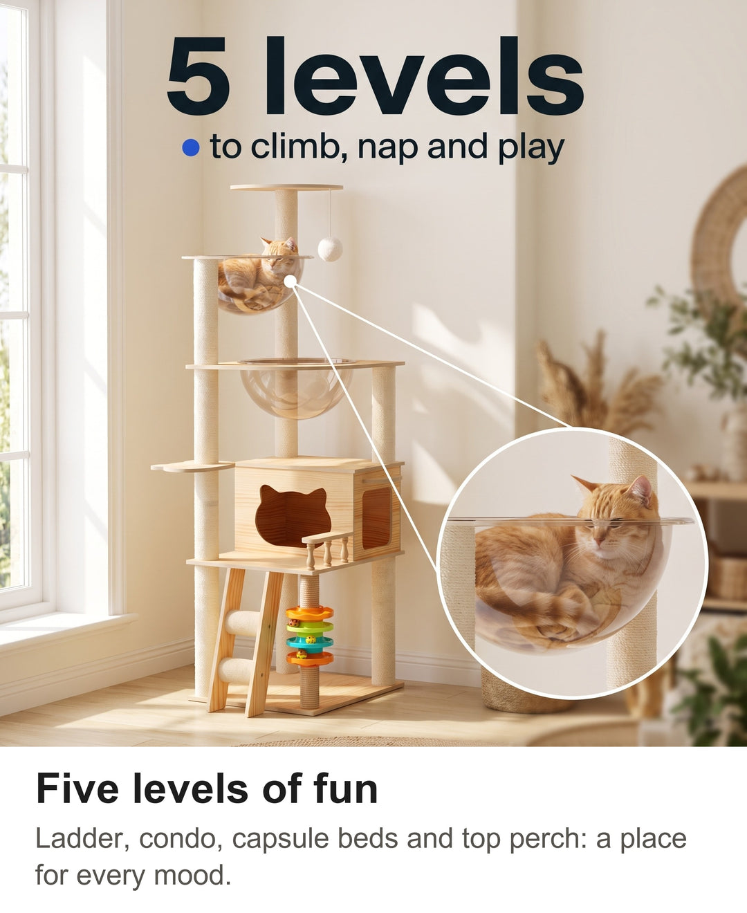 Cat tree tower with five levels and a zoom on a cat in the clear capsule bed