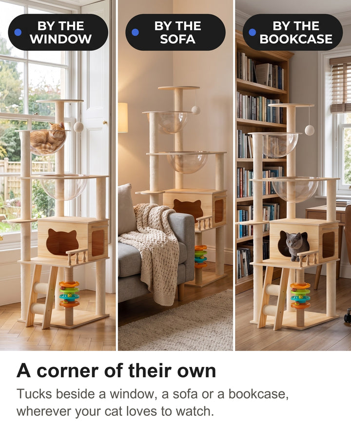 Cat tree tower beside a sunny window, a grey sofa and a bookcase