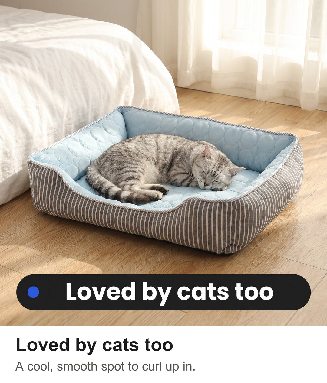 Silver tabby cat curled up asleep in the blue cat cooling bed