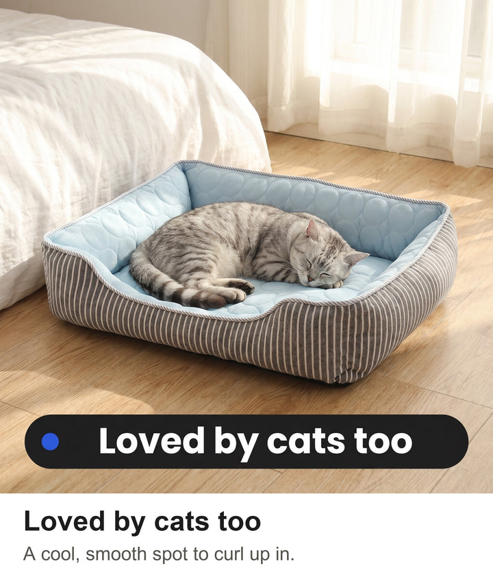 Silver tabby cat curled up asleep in the blue cat cooling bed