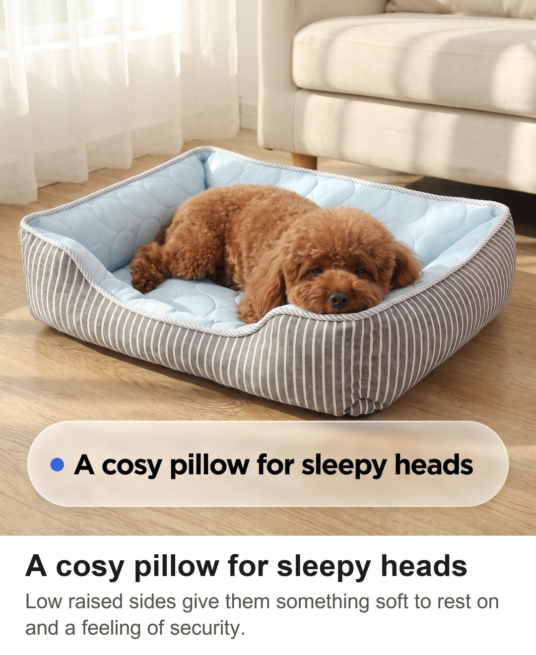 Toy poodle resting its chin on the soft rolled rim of the blue cooling bed