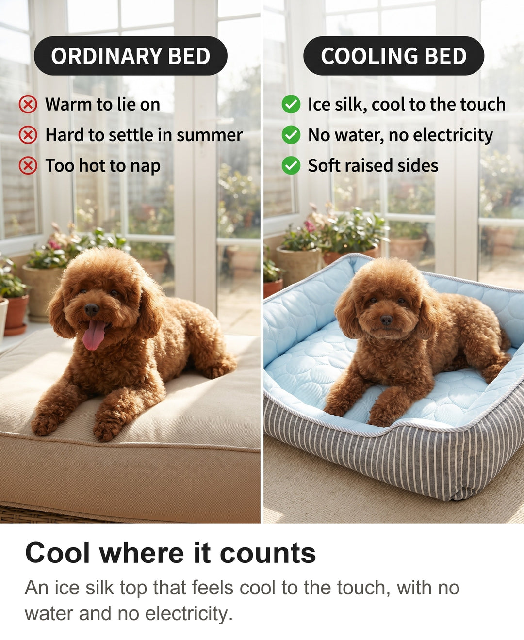 Comparison of a dog panting on an ordinary warm bed with a dog resting on the cooling bed