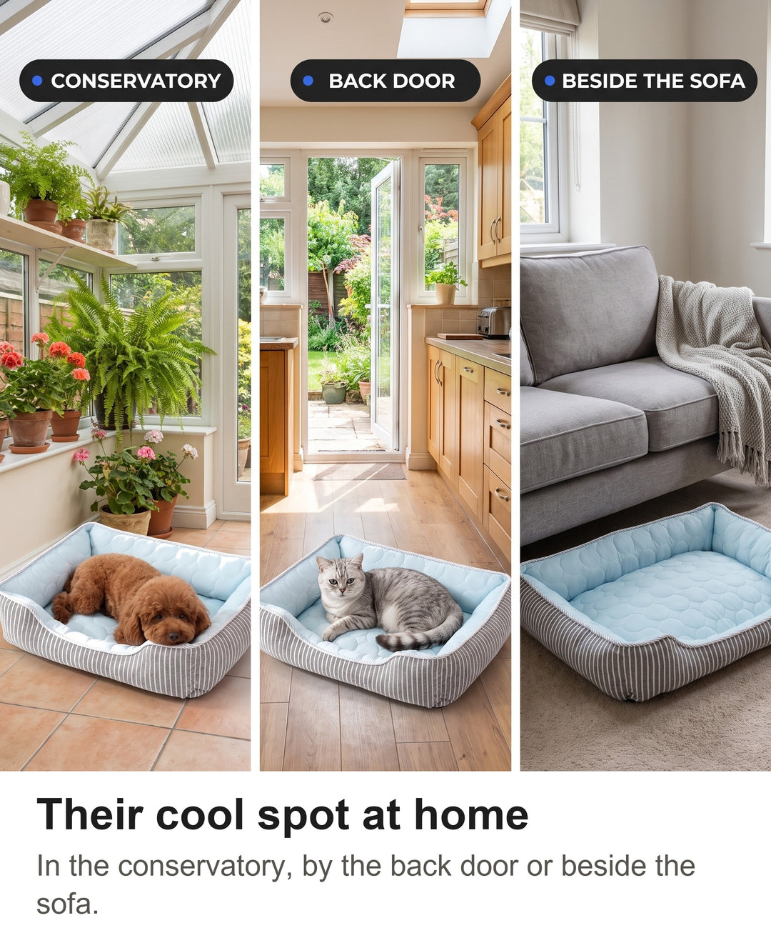 Cooling dog bed in a conservatory, by a back door and beside a sofa