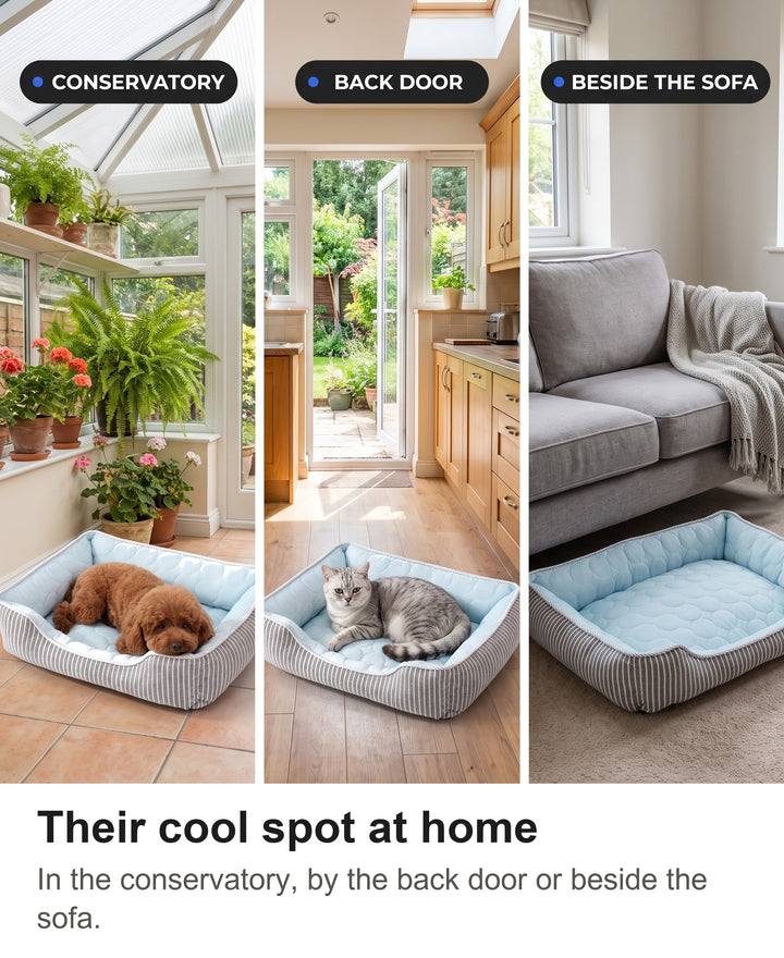 Cooling dog bed in a conservatory, by a back door and beside a sofa