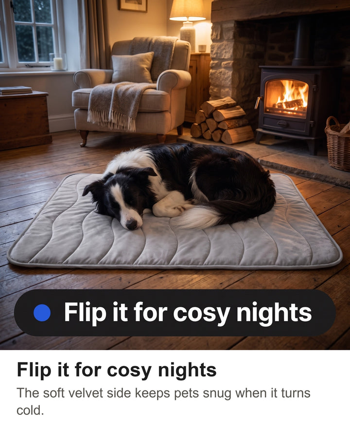 Border Collie asleep on the velvet side of the reversible pet mat by a wood burner