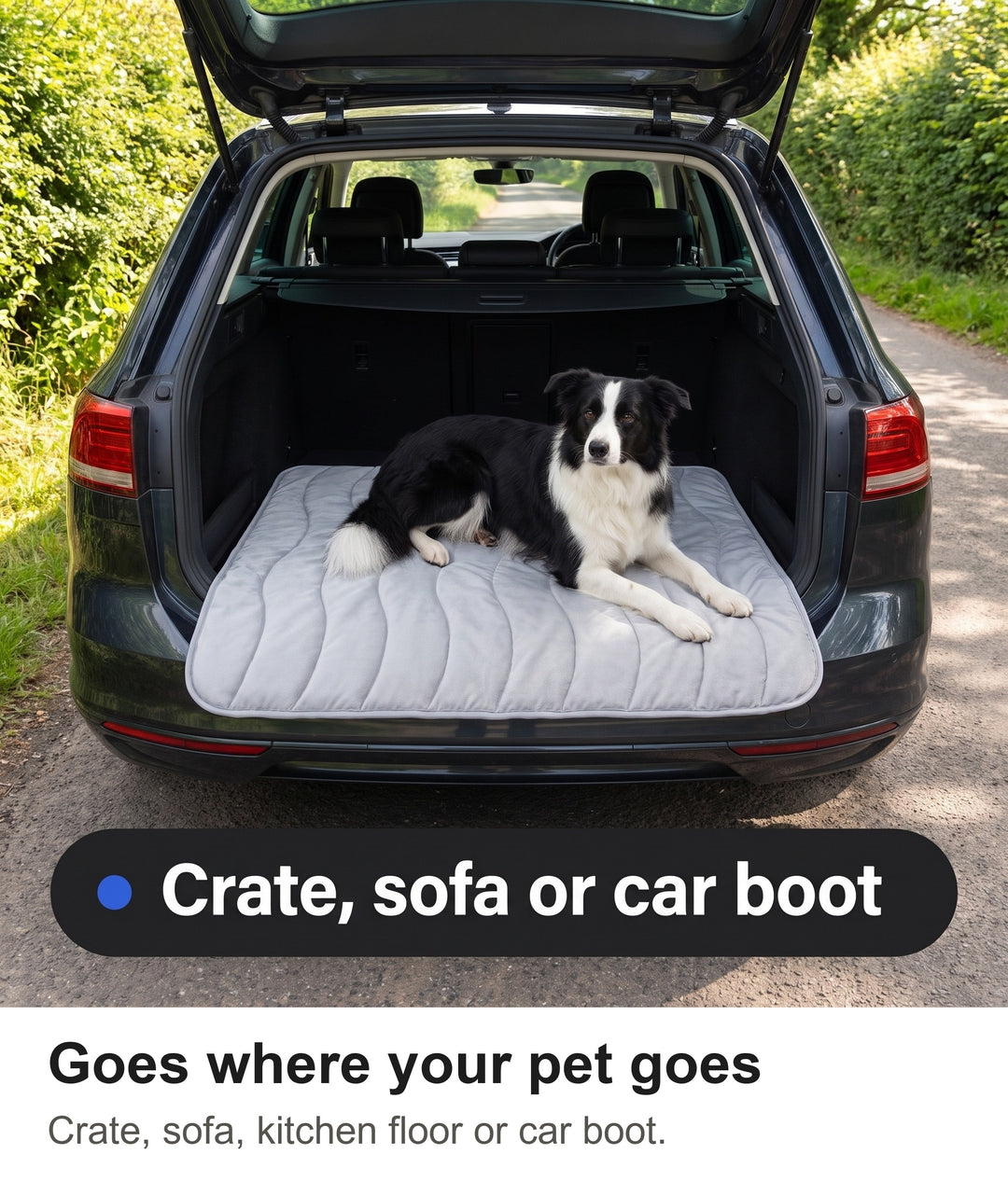 Border Collie lying on the cooling pad in the boot of a car