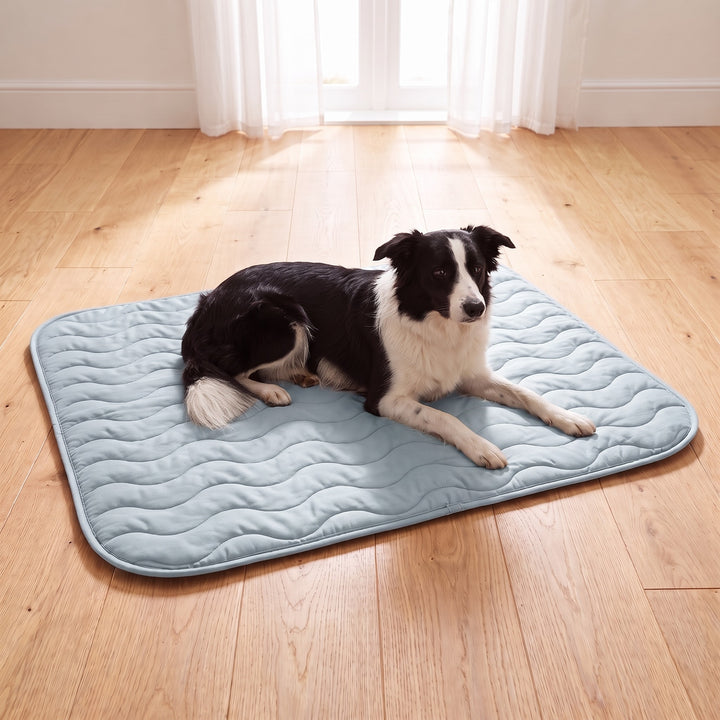 Border Collie lying on the blue grey reversible dog cooling mat on a light wooden floor in a bright UK living room