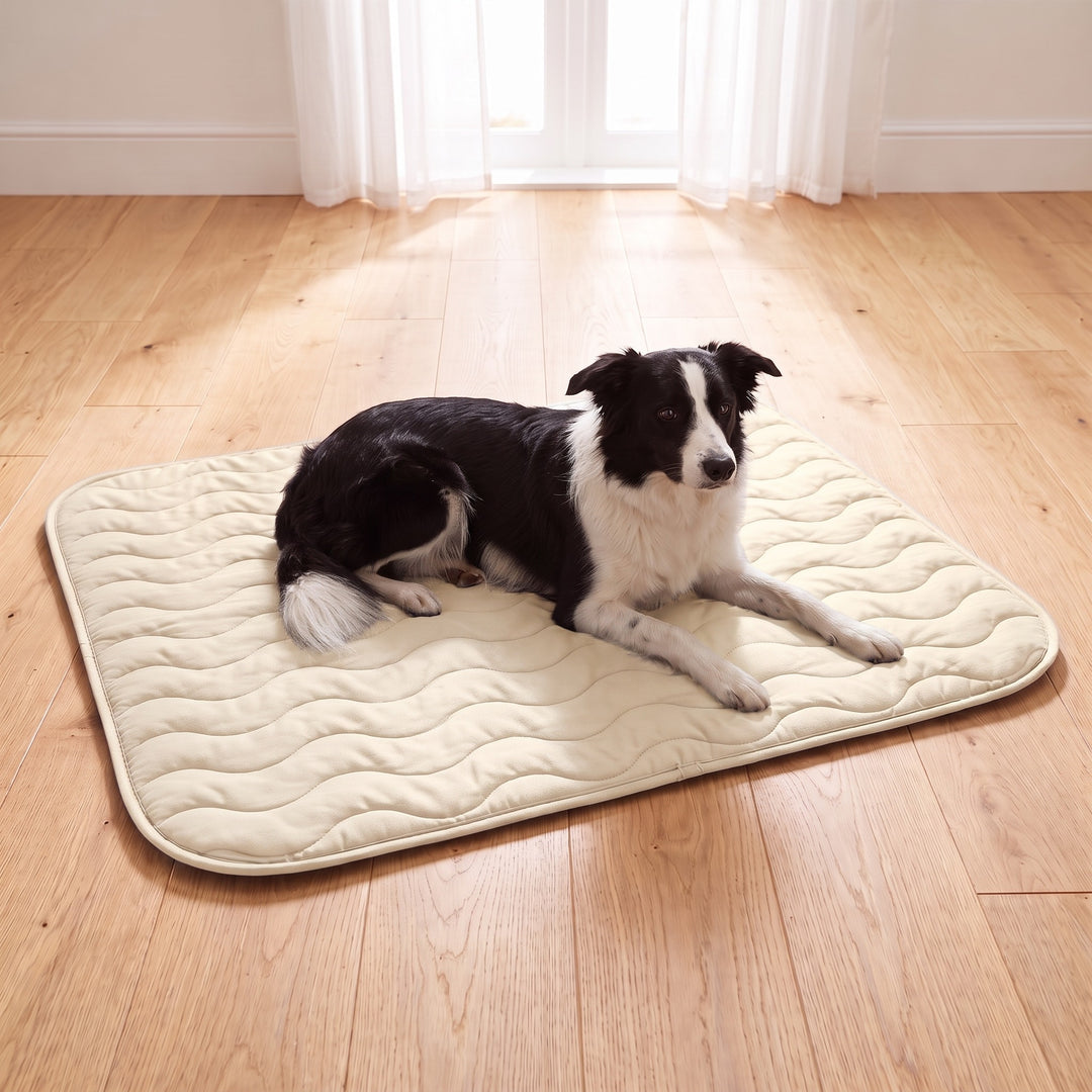 Border Collie lying on the off-white reversible dog cooling mat on a light wooden floor in a bright UK living room