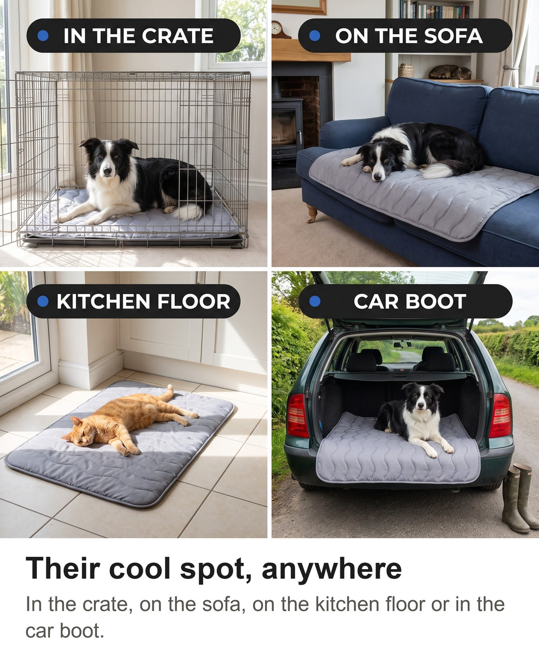 Cooling mat in a dog crate, on a sofa, on a kitchen floor and in a car boot
