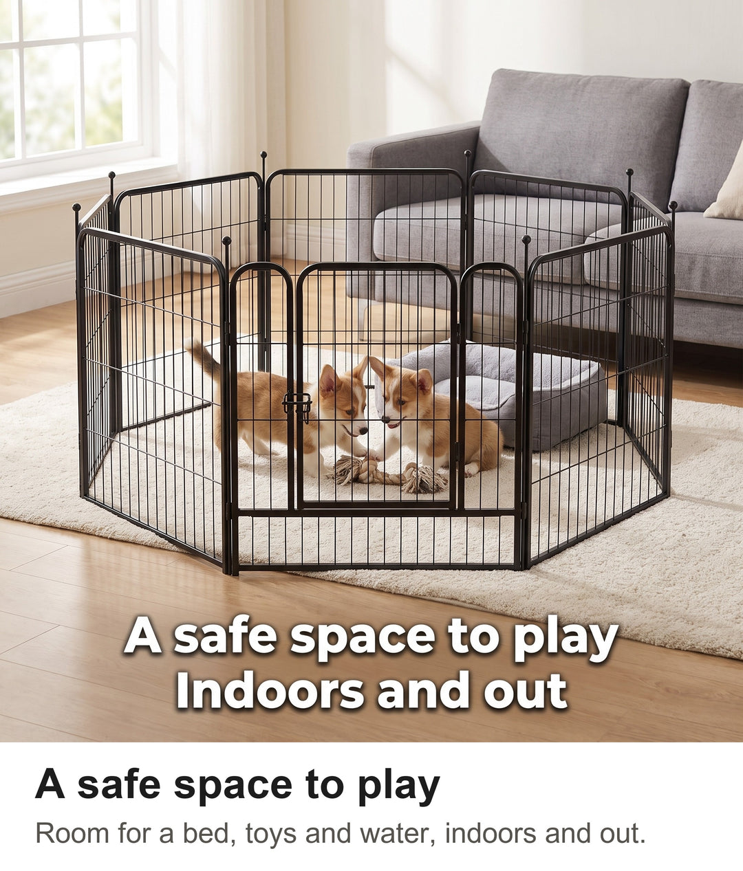 Two corgi puppies playing in the black metal dog playpen in a living room