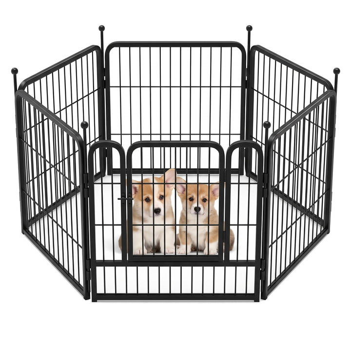 Two corgi puppies inside the black metal dog playpen with walk-through door