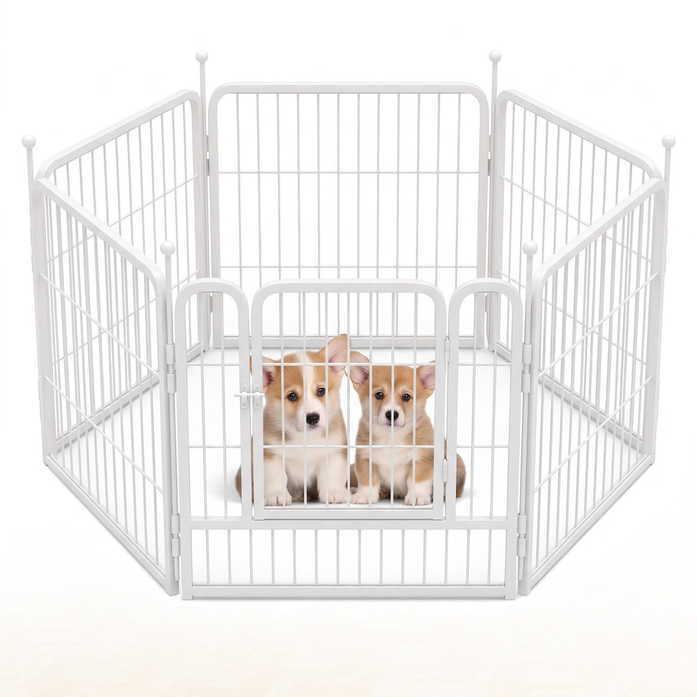 Two corgi puppies inside the white metal dog playpen with walk-through door