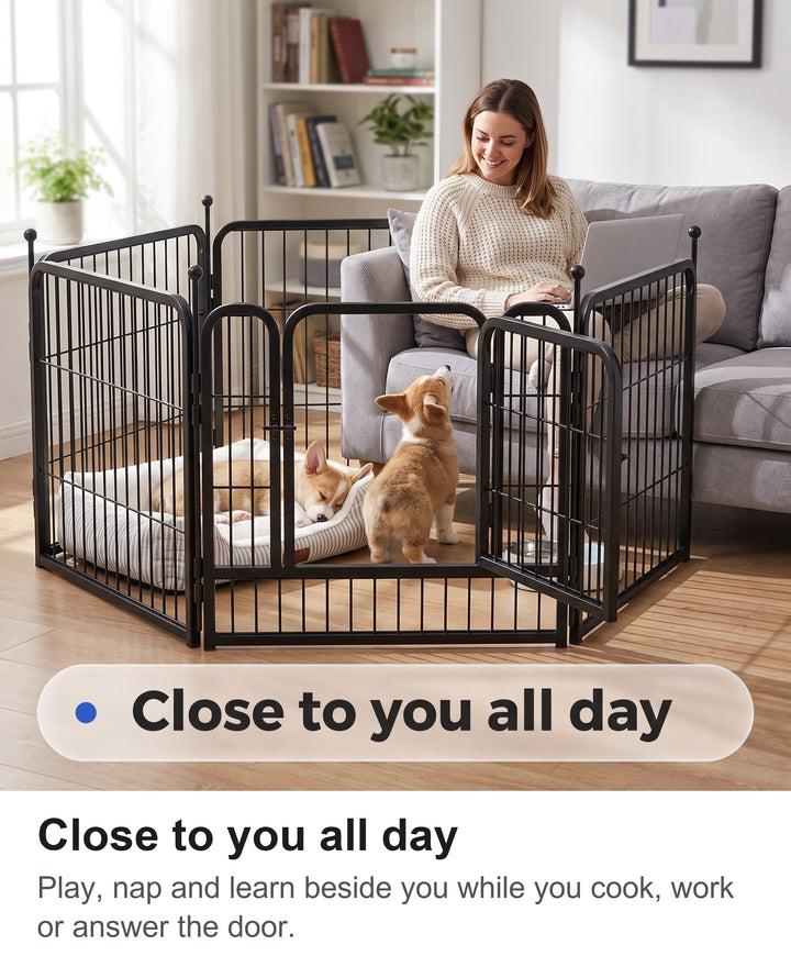 Woman working on a laptop on the sofa beside the playpen with two corgi puppies inside