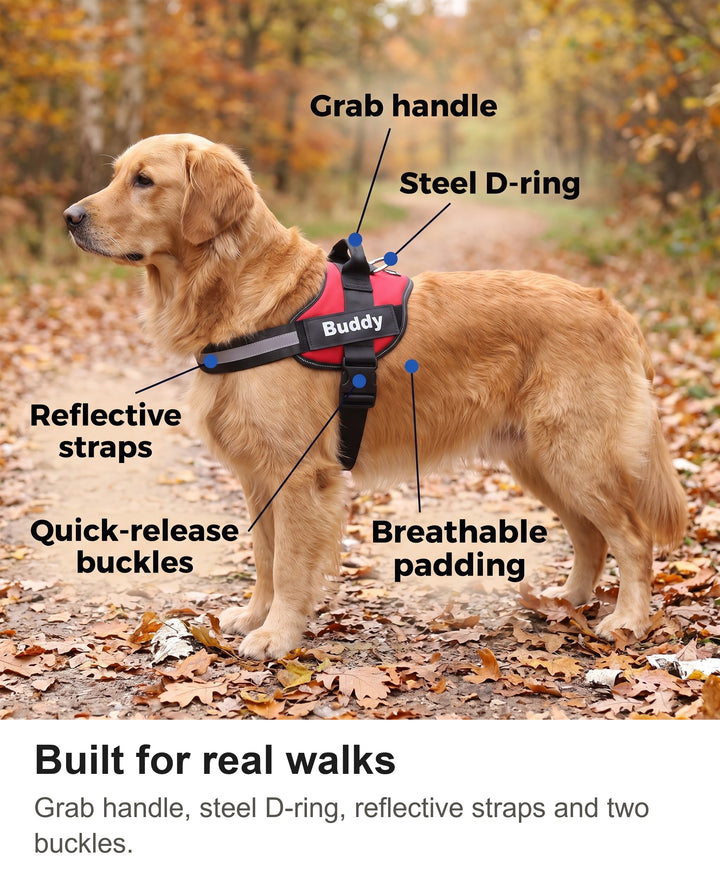 Dog harness with grab handle, steel D-ring, reflective straps, buckles and padding labelled