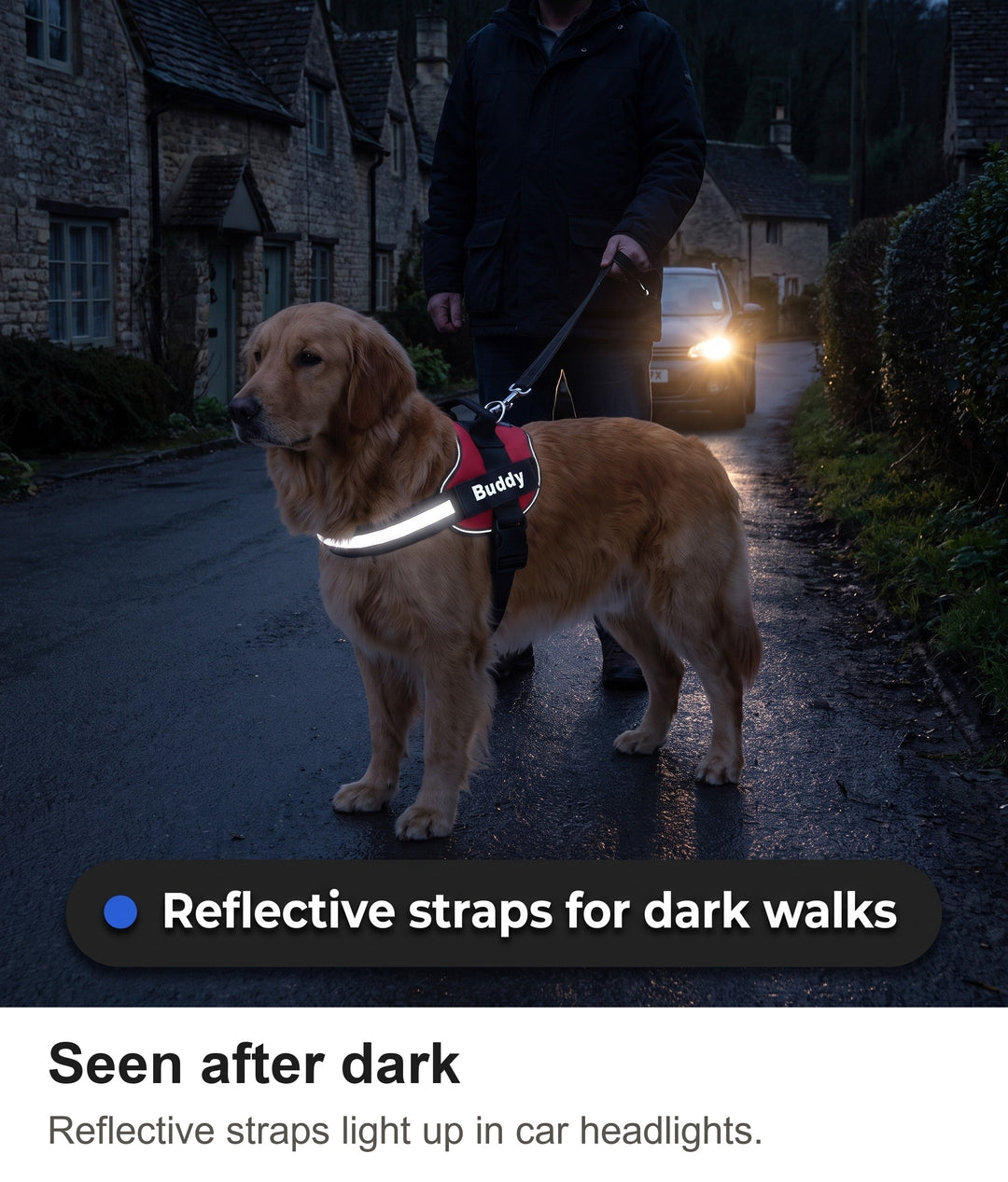 Reflective dog harness straps shining in car headlights on a dark lane