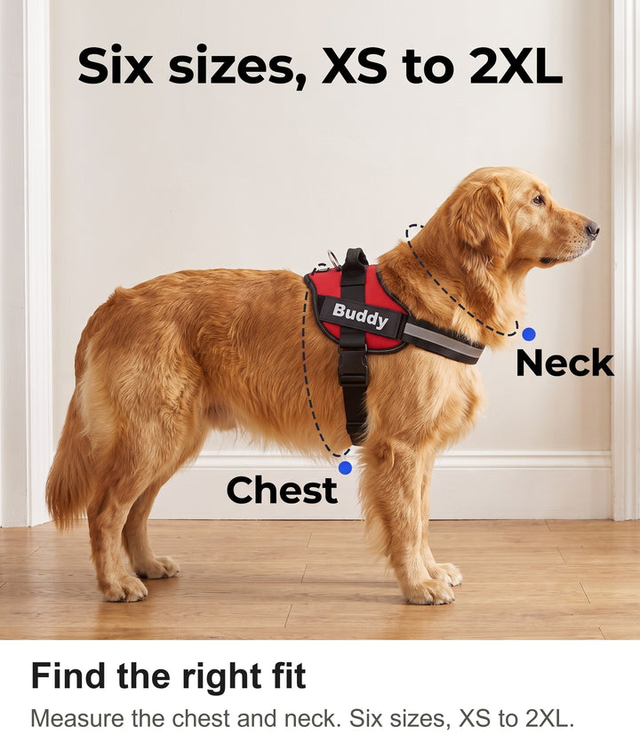 How to measure a dog for the harness: chest and neck