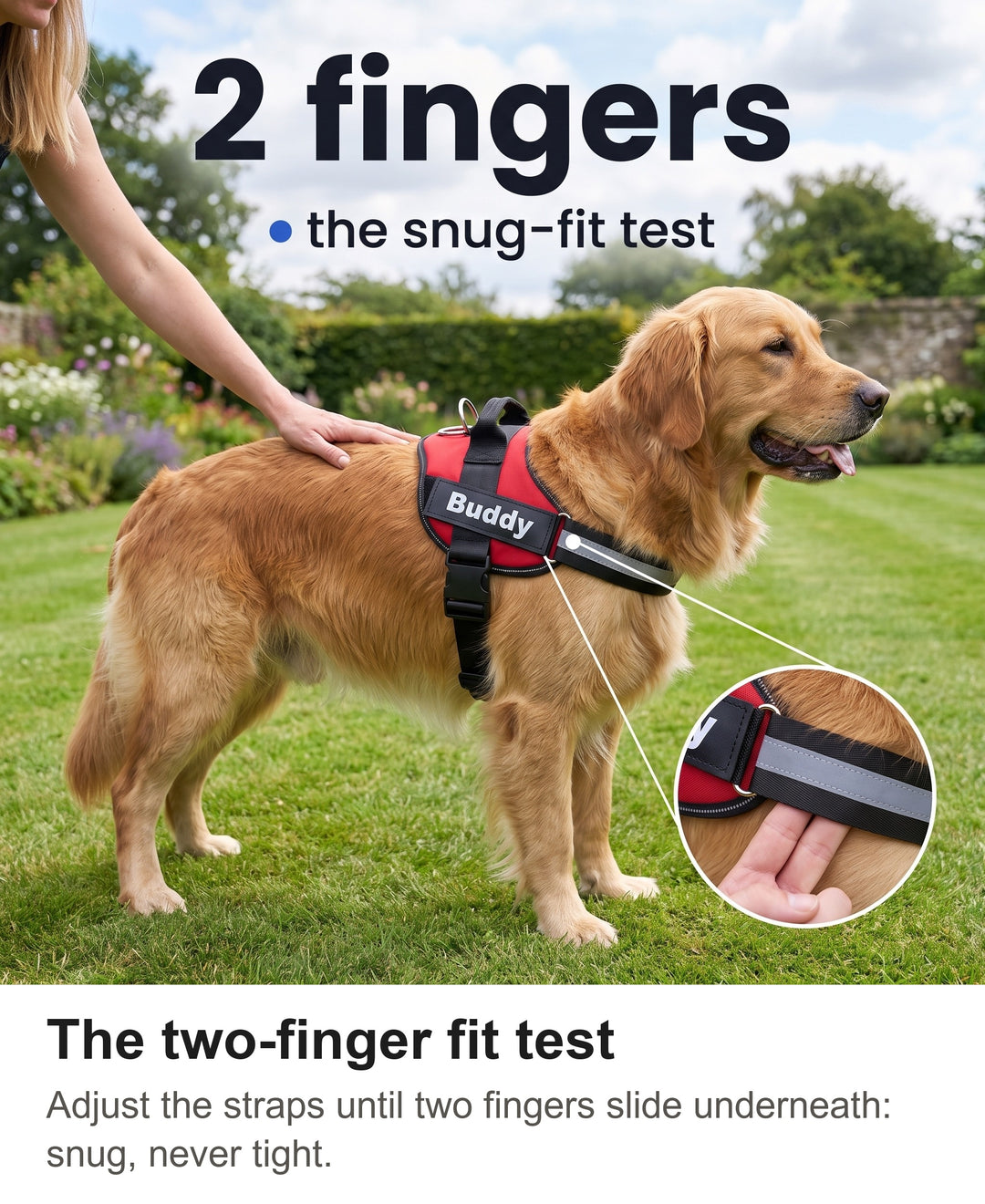 Two fingers sliding under the chest strap of the dog harness to check the fit