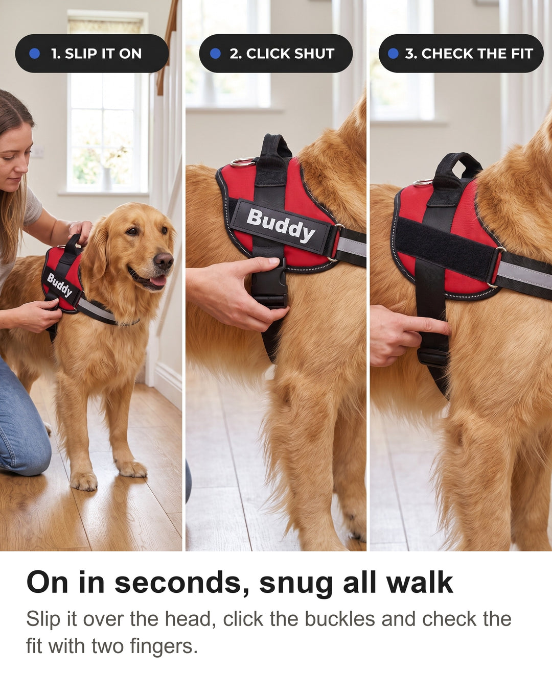 Three steps fitting the dog harness: slip it on, click the buckles, check two fingers fit under the strap