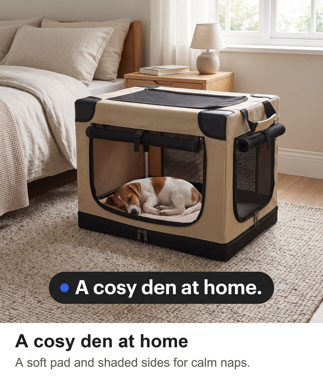 Jack Russell puppy asleep in the soft dog crate beside a bed