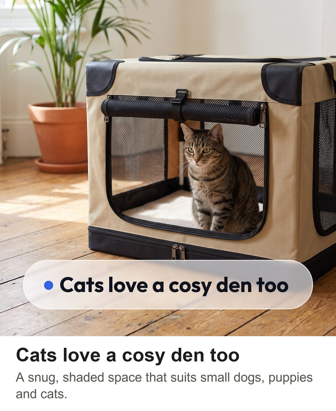 Tabby cat resting inside the soft crate with the front mesh door rolled up