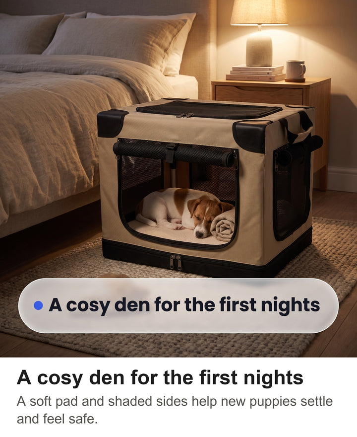Jack Russell puppy asleep in the soft dog crate beside a bed at night