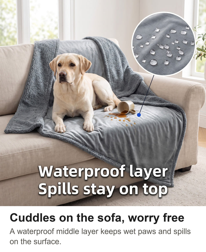 Yellow Labrador on a grey waterproof dog blanket on a sofa with tea beading on the surface