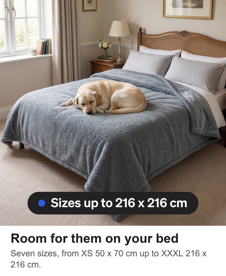 Large grey dog blanket covering a double bed with a Labrador asleep on it