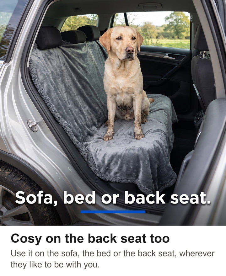 Labrador on a grey dog blanket covering the back seat of a car