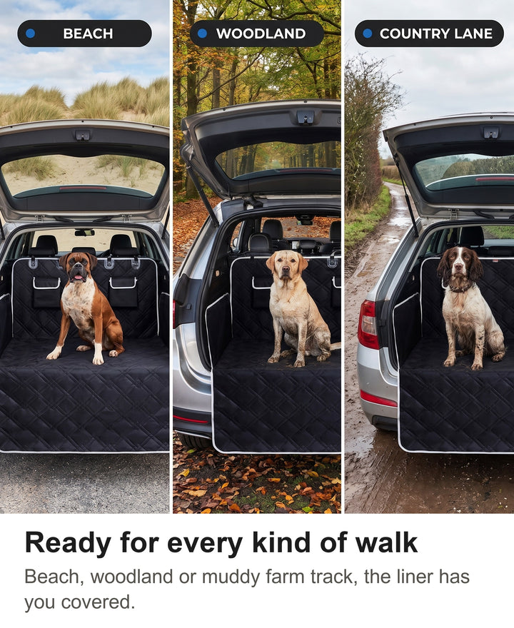 Dog boot liner in cars at a beach, a woodland car park and a country lane