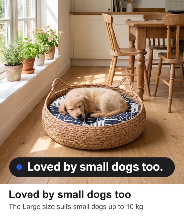 Puppy asleep in the wicker cat bed with the blue patterned cushion