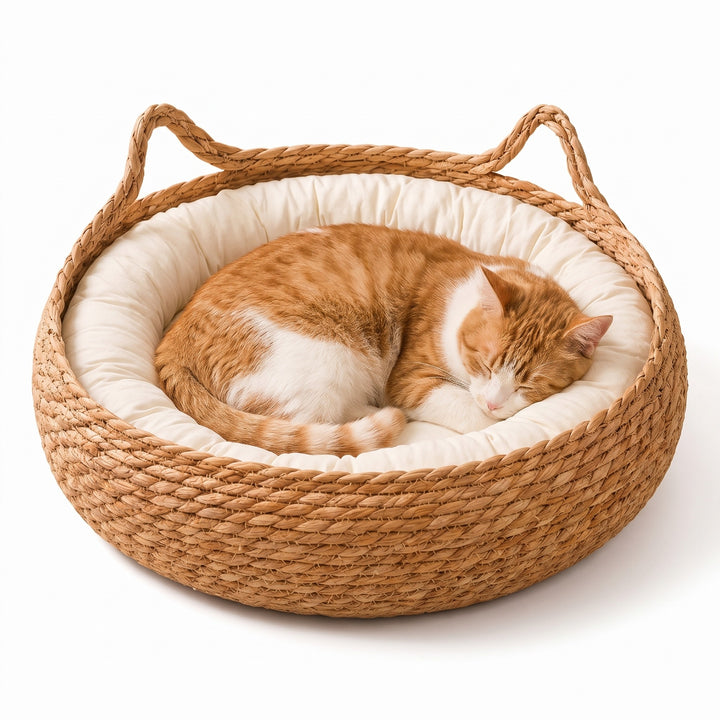 Ginger and white cat asleep in the rattan wicker cat bed basket with ears and white cushion
