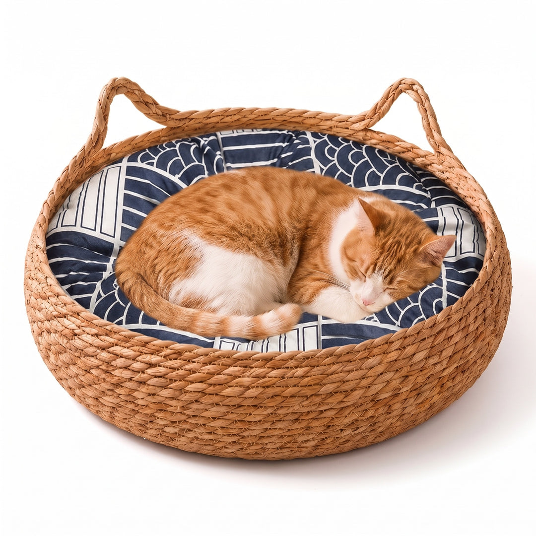 Cat asleep in the rattan cat bed basket with the blue patterned cushion