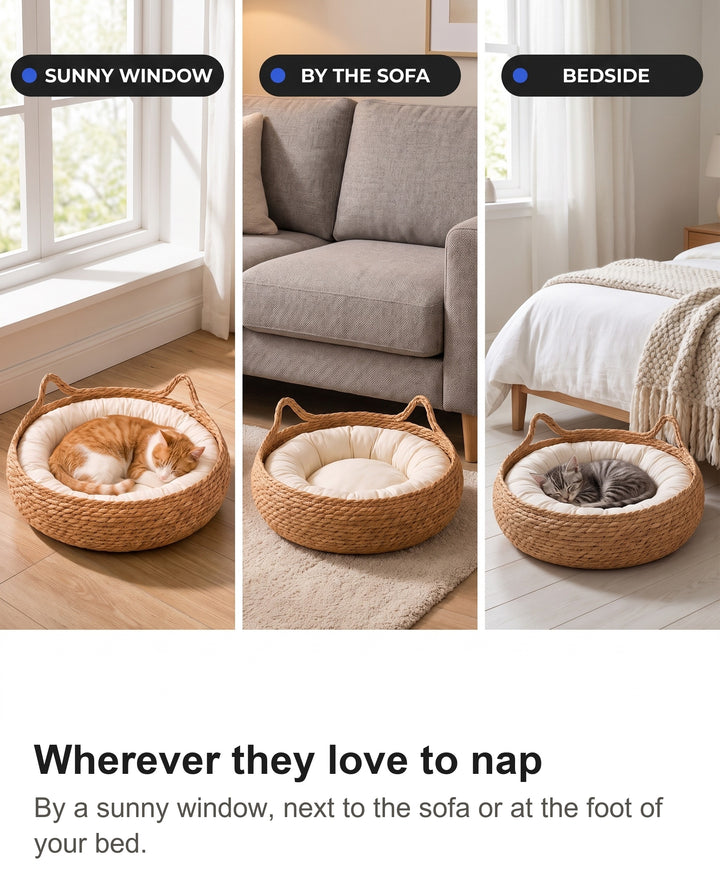 Rattan cat bed by a sunny window, beside a sofa and at the foot of a bed