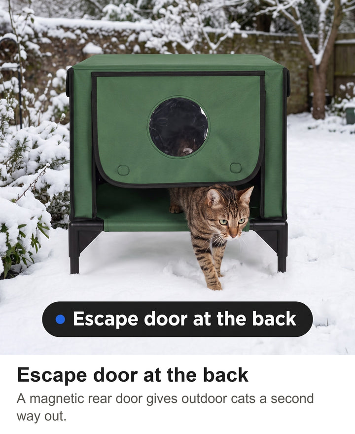 Tabby cat leaving the outdoor cat house through the rear escape door in the snow