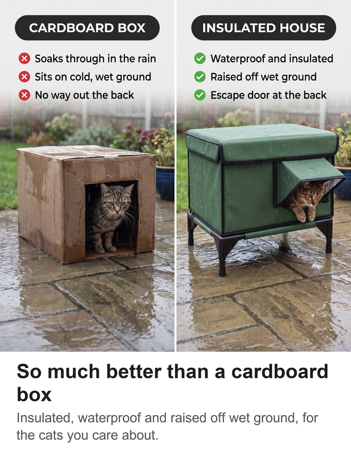 Comparison of a soggy cardboard box with the raised insulated outdoor cat house