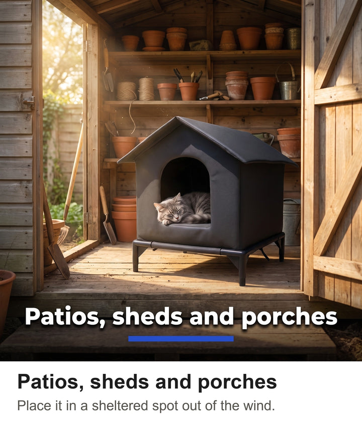 Grey cat asleep in the outdoor cat shelter inside a garden shed