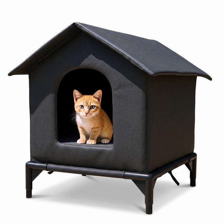 Ginger cat sitting in the doorway of the black waterproof raised outdoor cat shelter