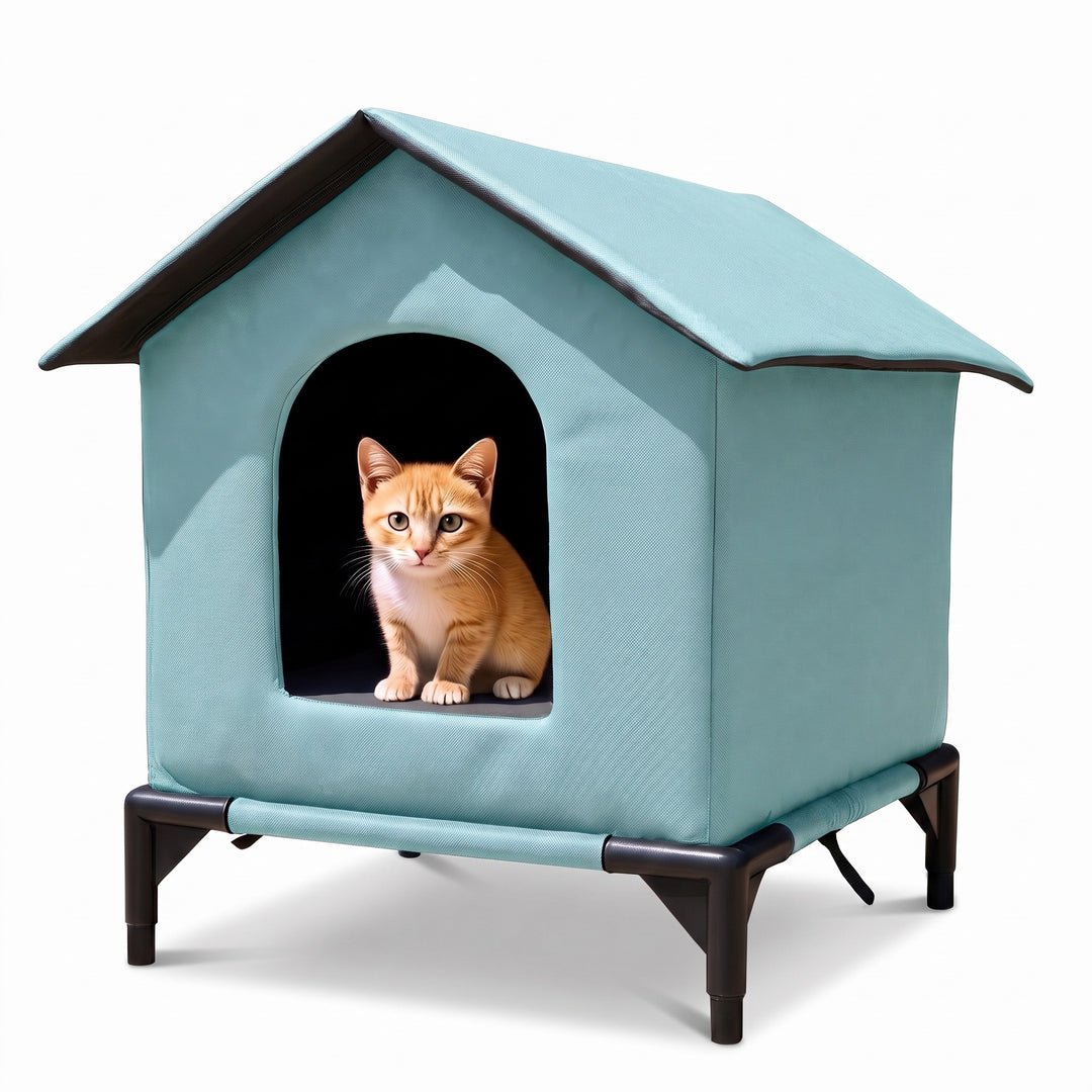 Lake blue waterproof raised outdoor cat shelter with a ginger cat in the doorway