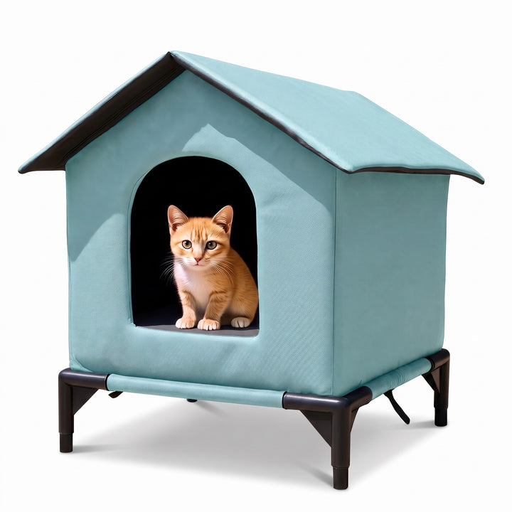 Lake blue waterproof raised outdoor cat shelter with a ginger cat in the doorway