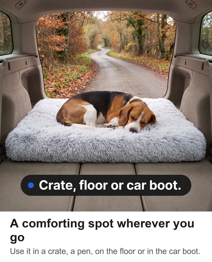 Beagle resting on the fluffy dog cage mat in the boot of an estate car