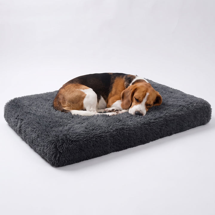 Beagle asleep on a dark grey fluffy dog crate mat