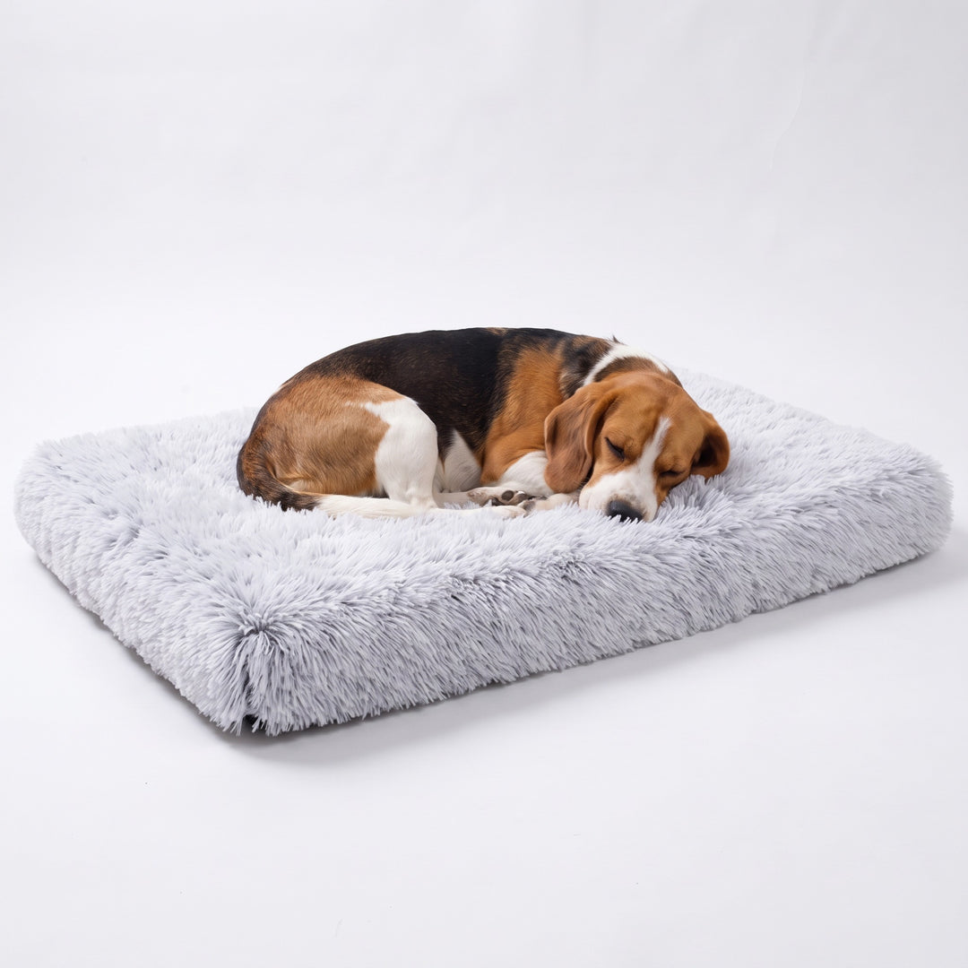 Beagle asleep on a grey fluffy dog crate mat