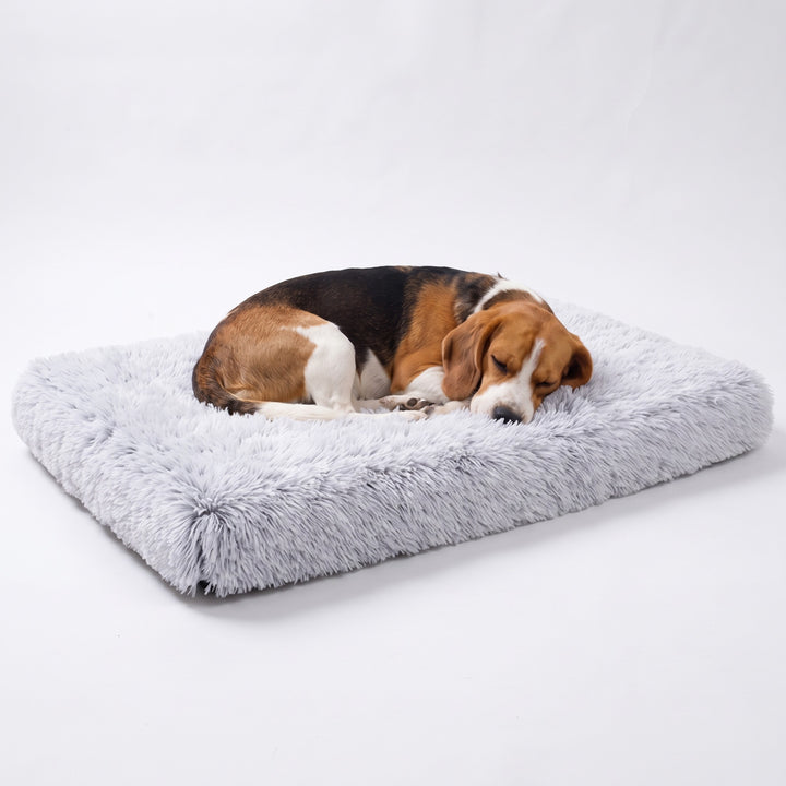 Beagle asleep on a grey fluffy dog crate mat