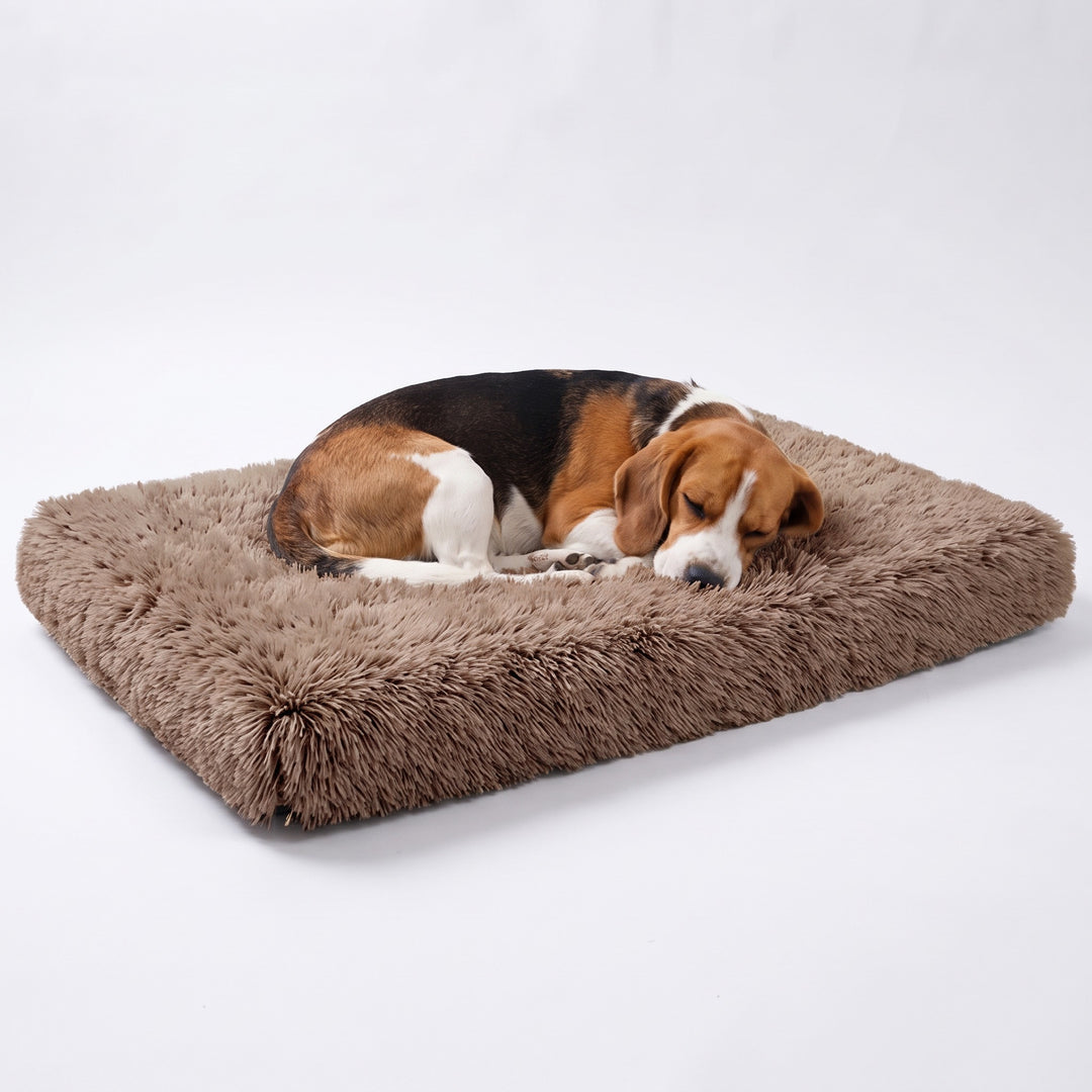 Beagle asleep on a khaki fluffy dog crate mat